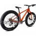 ICAN Golden Carbon Fat Bike Knight 20 inch - B07FFRKYYM